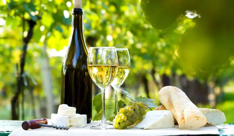 10 Vinhos Brancos Encorpados para Aproveitar o Outono com Estilo