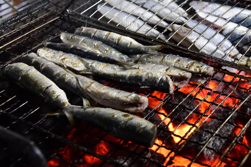 13º Festival da Sardinha em Ilhabela: Confira as atrações confirmadas para 2025!