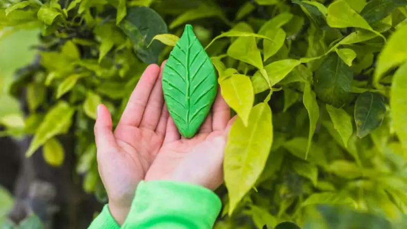 87% dos brasileiros desejam ser sustentáveis, mas apenas 35% agem: entenda o gap