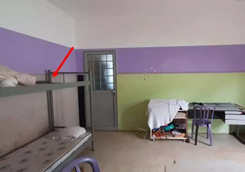 Abuso sexual, bebês doentes e denúncias graves: o escândalo em abrigo de Ribeirão Preto
