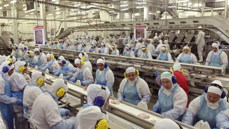 Acordo UE-Mercosul pode gerar R$ 7,7 bilhões para a JBS até 2040, revela estudo
