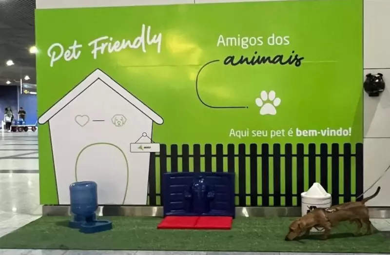 Aeroportos da Aena no Brasil agora têm espaços pet friendly: confira as novidades!