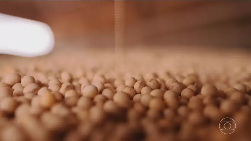 Agronegócio impulsiona crescimento de 1,4% da economia brasileira no 1º trimestre de 2025
