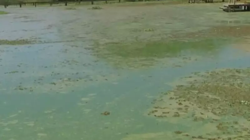 Água esverdeada e mau cheiro em afluente do Rio Tietê preocupam moradores de Penápolis