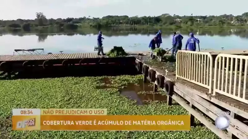 Algas tomam conta do Lago Paranoá em Brasília: autoridades em alerta