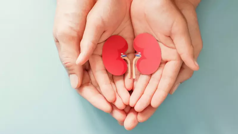 Alimentos que prejudicam os rins: o que evitar para uma saúde renal perfeita