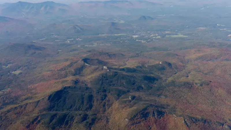 Alucinações e tragédia: Montanhistas morrem após consumir cogumelos nos EUA