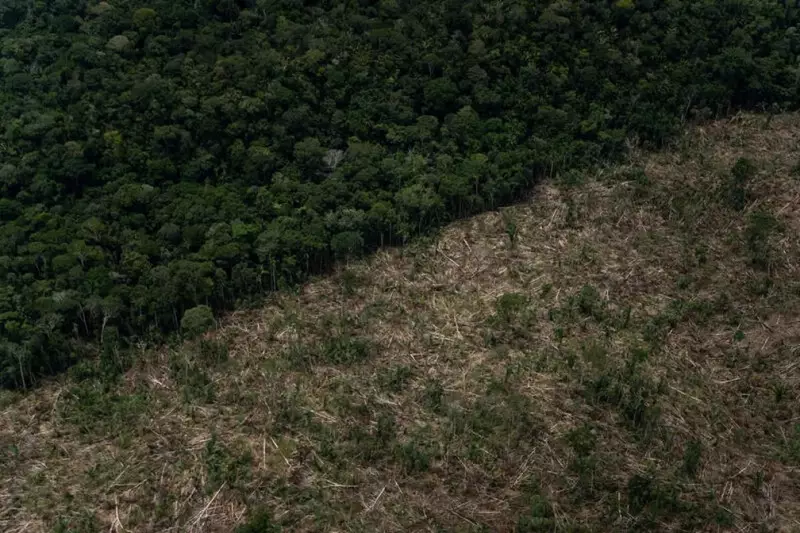 Amazonas lidera desmatamento na Amazônia em abril: dados alarmantes do Imazon