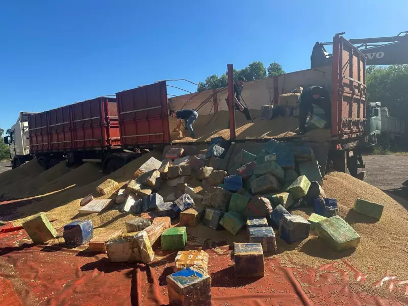 Apreensão recorde: 7 toneladas de maconha escondidas em carga de soja em Rosana (SP)