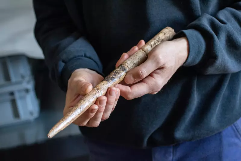 Arqueólogos descobrem armas de ossos de baleia com 20 mil anos em caverna no Brasil