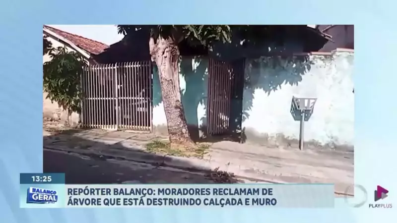 Árvore em São José dos Campos destrói calçada e causa transtornos a moradores