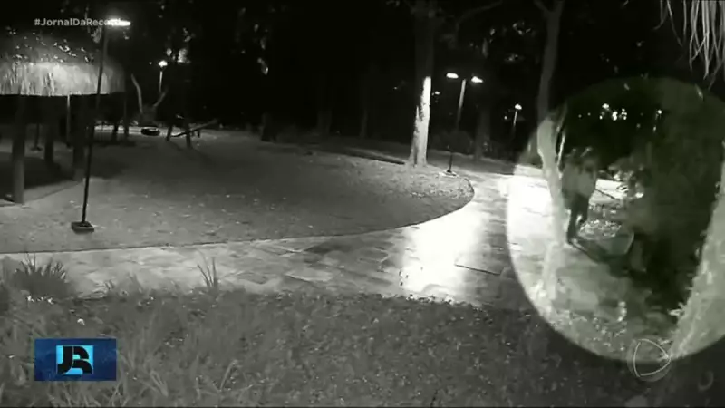 Assalto a condomínio de luxo em SP: criminosos levam mais de R$ 1,2 milhão em joias