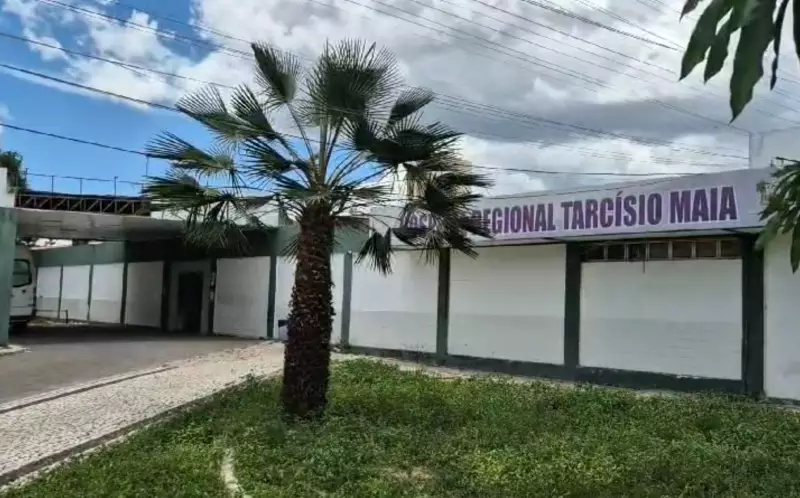 Ataque de pitbull a bebê choca Mossoró: saiba como evitar acidentes com cães