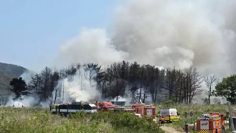 Avião da Marinha da Coreia do Sul cai durante treinamento e deixa dois mortos