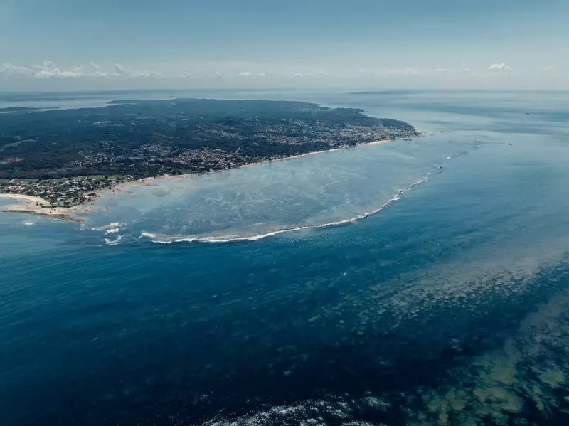 Bahia lança 1ª Semana Oceânica com foco na restauração de corais e conservação marinha