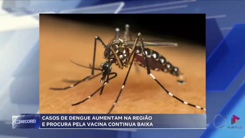 Baixada Santista em alerta: casos de dengue disparam e vacinação ainda é baixa