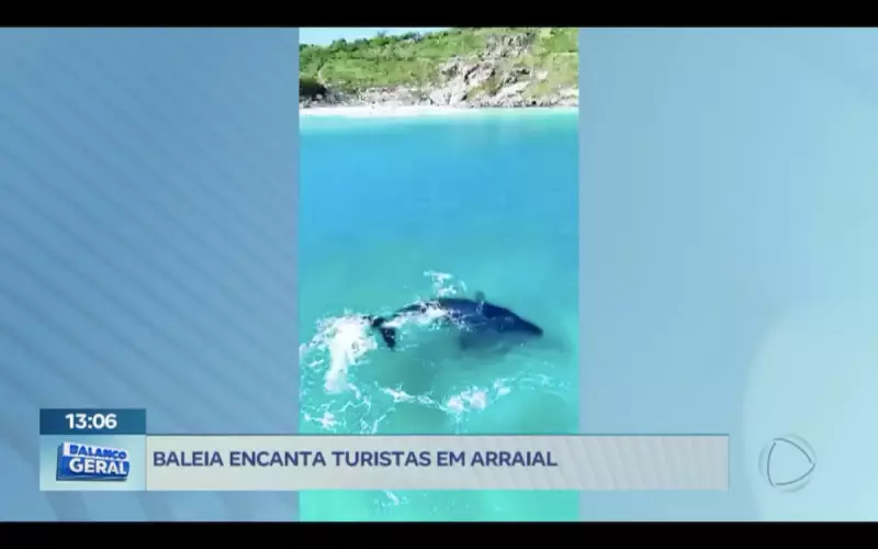 Baleia jubarte encanta turistas em Arraial do Cabo: um espetáculo da natureza no RJ