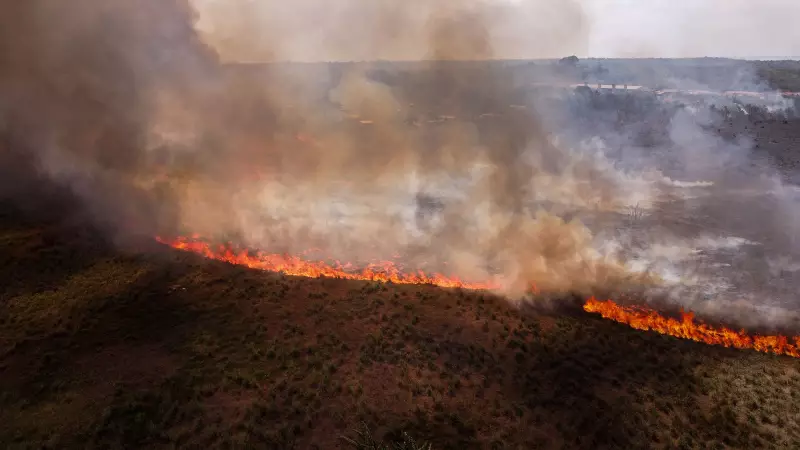 Brasil lidera ranking global de incêndios em 2024: dados alarmantes e impactos ambientais