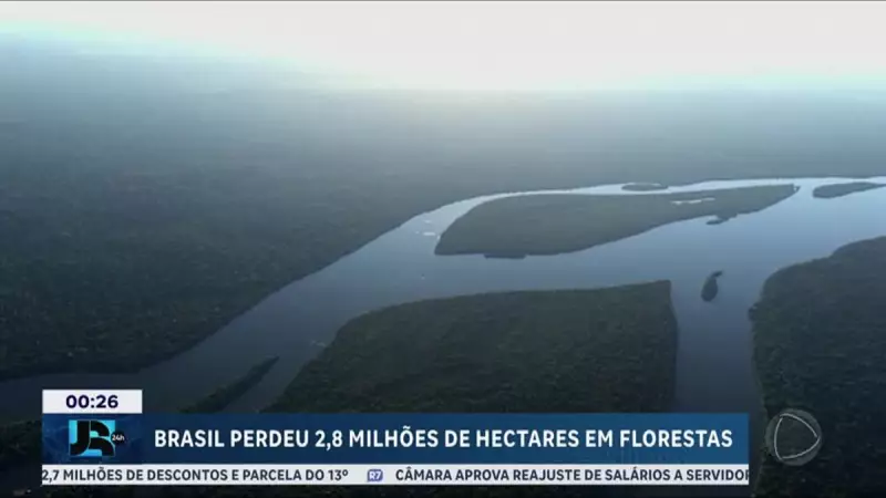 Brasil perde quase 3 milhões de hectares de florestas tropicais em 2024: relatório alarmante