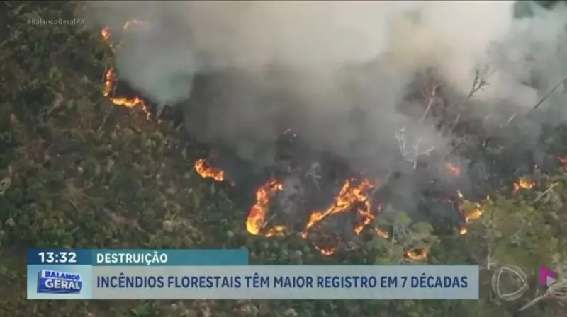 Brasil registra aumento alarmante de 147% em incêndios florestais em 2024