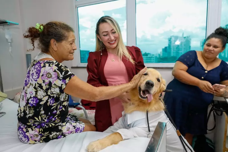 Cães terapeutas transformam recuperação de pacientes em hospital de Manaus