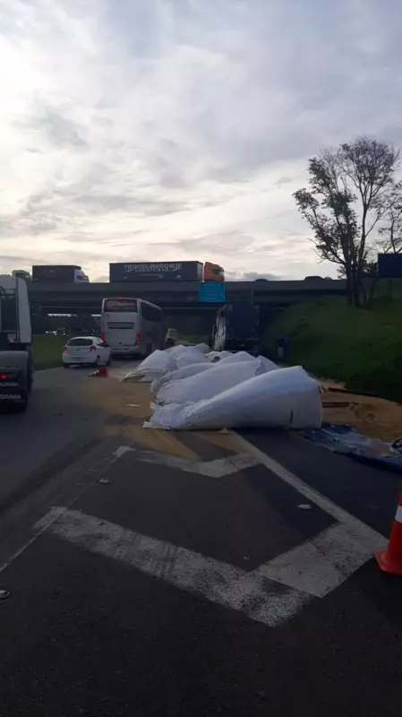 Caminhão derrama toneladas de ração e causa engarrafamento de 11 km na Fernão Dias, em Atibaia