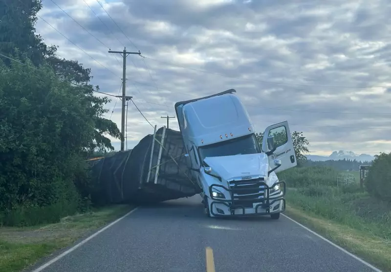 Caminhão tomba e libera 250 milhões de abelhas em rodovia dos EUA — veja o caos