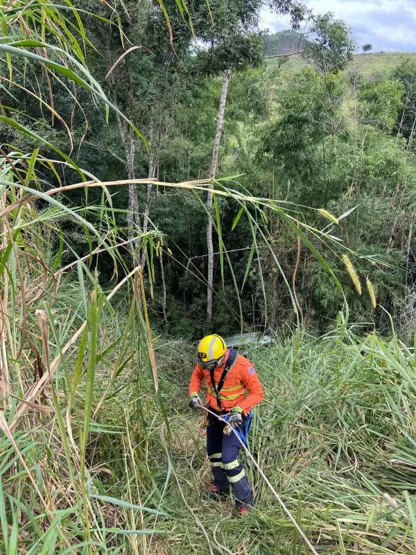 Caminhoneiro perde controle e despenca em ribanceira de 10 metros na BR-267