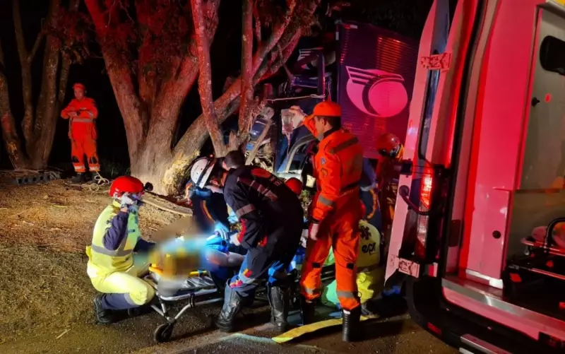 Caminhoneiro sofre acidente grave após perder controle de caminhão na MG-491, em Divisa Nova