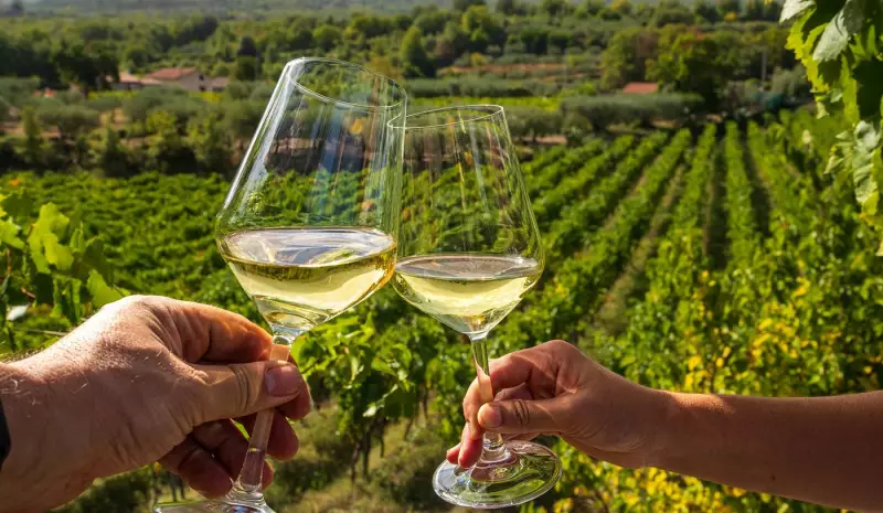 Cansou de Chardonnay e Sauvignon Blanc? Conheça 10 vinhos brancos diferentes para surpreender seu paladar