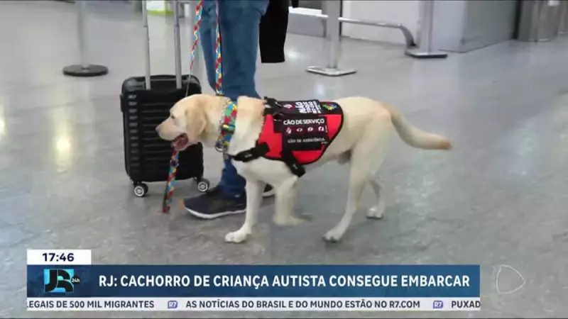 Cão de serviço viaja para Portugal após enfrentar obstáculos no Brasil: uma história de superação