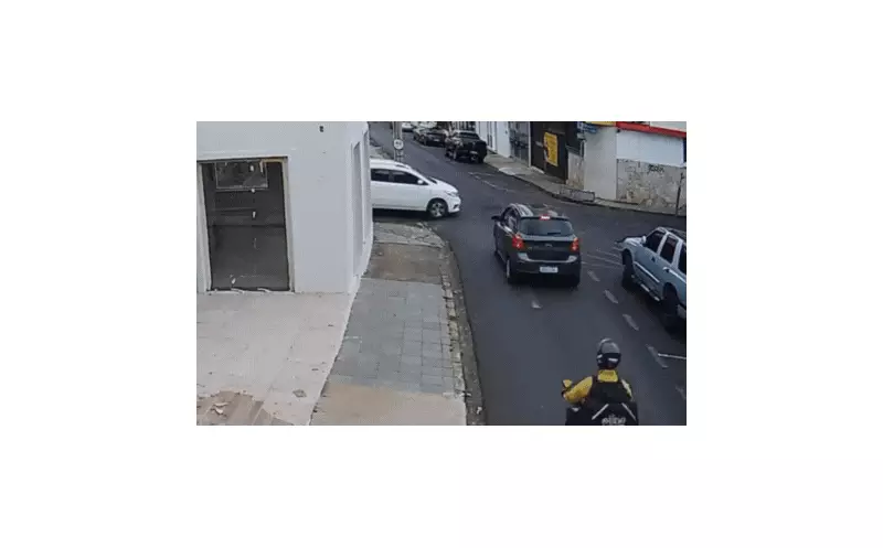 Cão é arremessado de carro após colisão e deixa tutora em desespero em MG; vídeo choca
