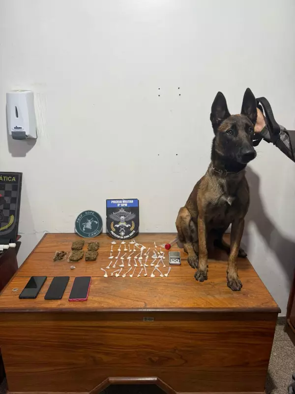 Cão farejador da PM descobre crack e maconha em ação na Zona Oeste de Macapá