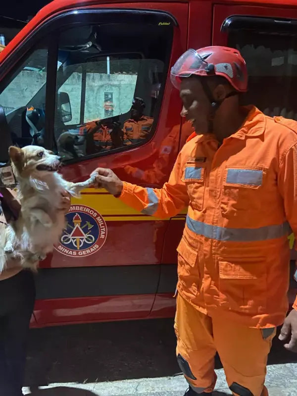 Cão reencontra bombeiro que o resgatou em MG: história emocionante de gratidão