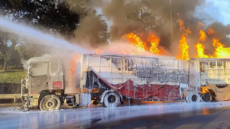 Carreta pega fogo na BR-050 e causa interdição total em Delta: veja vídeo