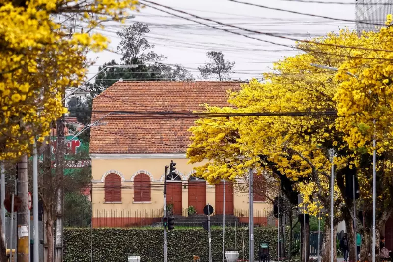 Casa do Cavalo Baio em Araucária será restaurada e abre para visitas guiadas