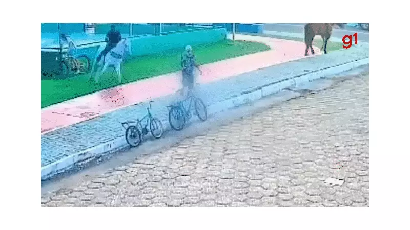 Cavalo descontrolado fere idosa gravemente em praça no Maranhão; veja o vídeo