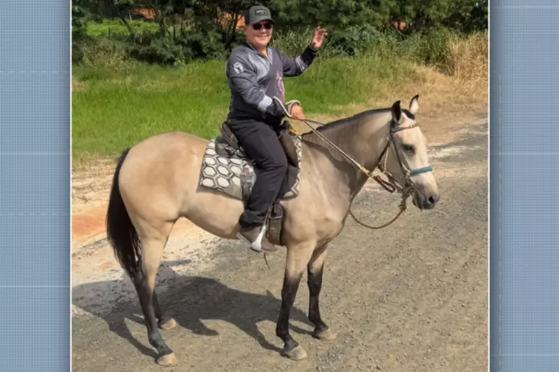 Cavalo morre em Indaiatuba: laudo preliminar aponta infecção por bactérias