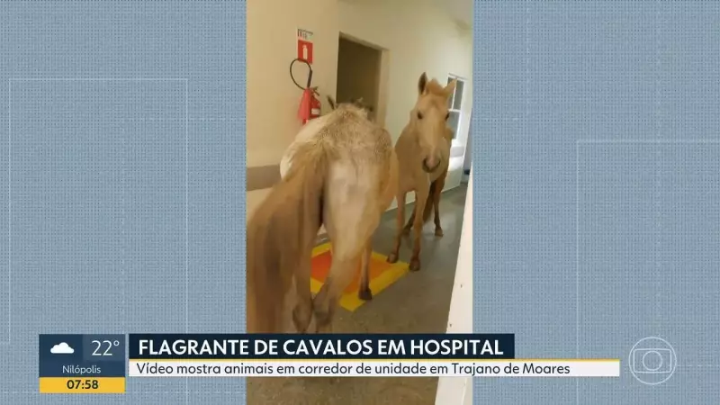 Cavalos invadem hospital no Rio de Janeiro e causam surpresa geral