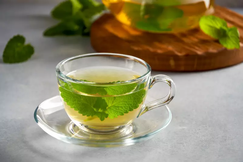 Chás calmantes: descubra os benefícios da camomila, erva-cidreira e flor de maracujá e como usá-los corretamente