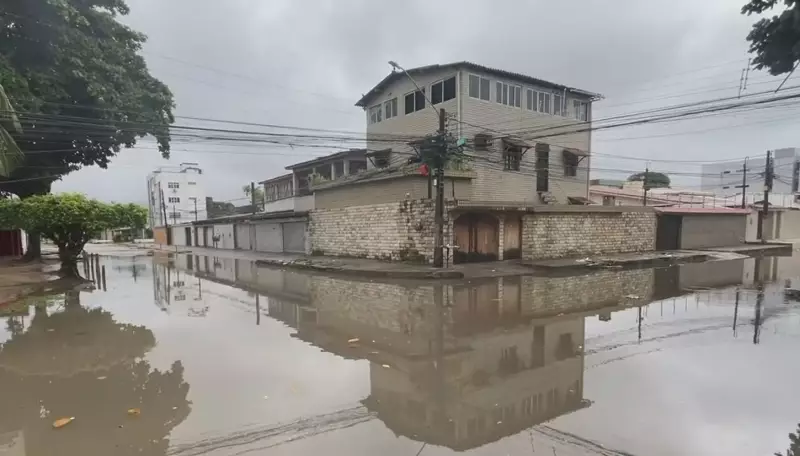 Chuva intensa causa alagamentos e queda de árvores na Grande Recife: veja imagens impressionantes
