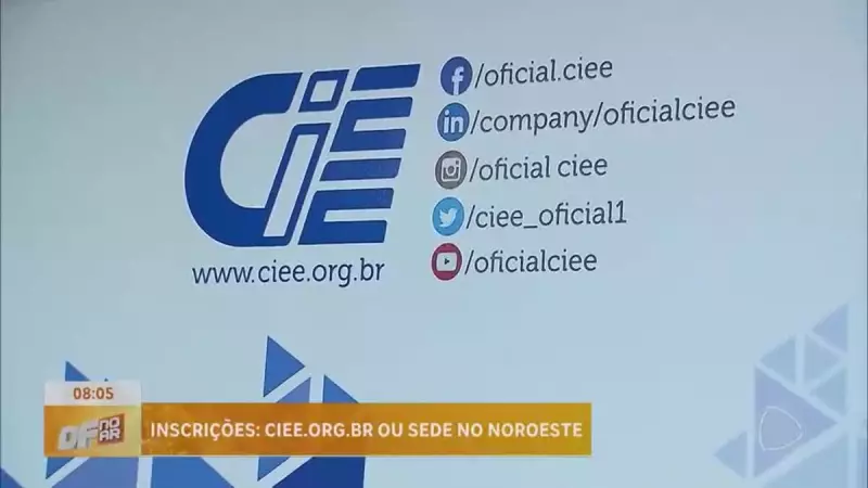 CIEE oferece 636 vagas de estágio no Distrito Federal: saiba como se candidatar