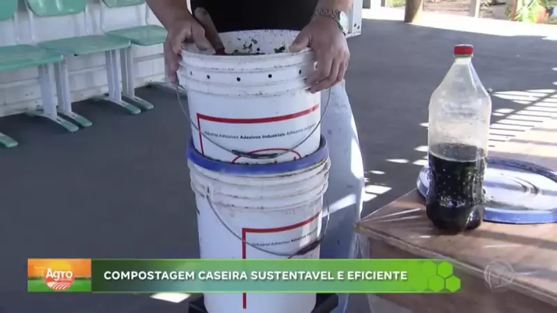 Compostagem caseira: técnica simples transforma lixo em adubo e surpreende na plantação
