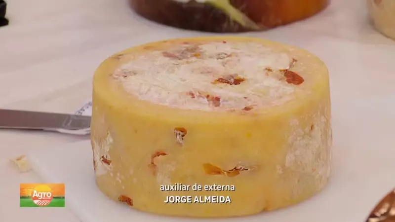 Concurso Nacional de Queijos: Descubra os Melhores Produtos do Brasil em Três Categorias