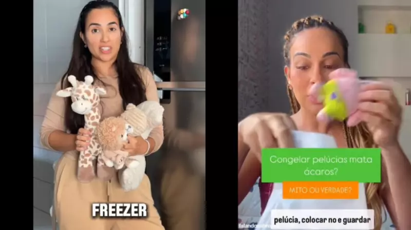 Congelar ursos de pelúcia elimina ácaros? Descubra como proteger sua família!