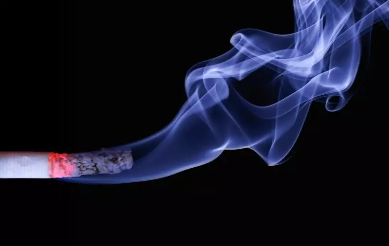 Contrabando de cigarros no Piauí: 70% dos produtos vendidos são ilegais, revela pesquisa