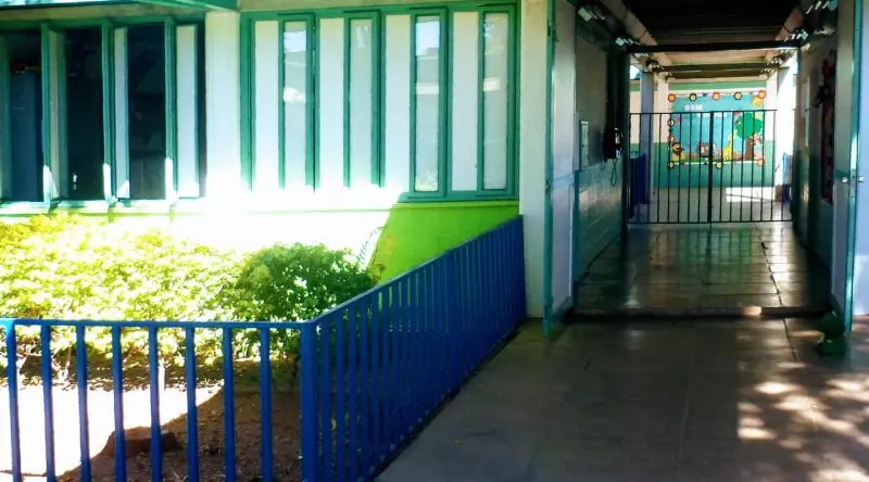 Criança de 3 anos é picada por escorpião em creche de São Carlos: saiba como evitar acidentes
