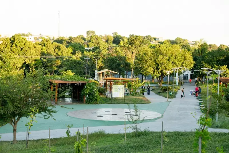 Cuiabá homenageia vítimas de feminicídio com plantio de mudas de ipês em parque