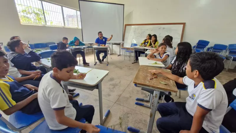 Cultura ancestral amazônica ganha vida em oficina para estudantes em Santarém