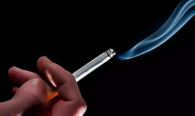 Custo do fumo no Brasil supera em cinco vezes o lucro da indústria tabagista